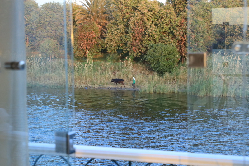 Sekhmet Dahabiya Nile Cruise Cabin View